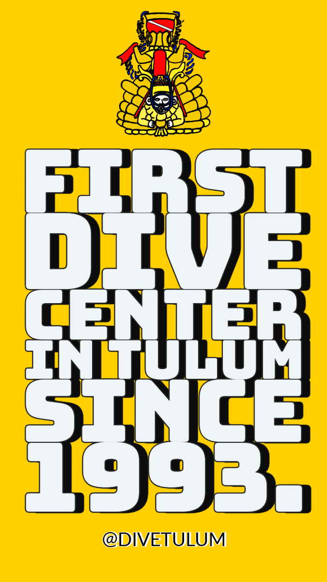 Start Diving Here